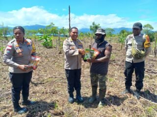 Dukung Kesejahteraan Warga, Kombes Pol Andi Yoseph Enock Berikan bantuan bibit Jagung di Distrik Kobakma