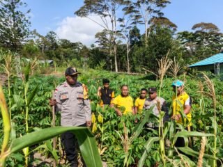 Green Policing Polsek Kelila, Langkah Nyata Menjaga Alam dan Mendukung Ketahanan Pangan
